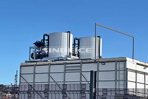 南非海鮮水產(chǎn)保鮮，2臺日產(chǎn)30噸片冰機